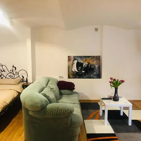 Apartment Studio Curcanilor 18 Graden & Parking *