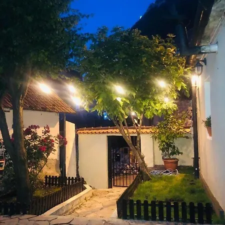 Studio Curcanilor 18 Graden & Parking Apartment