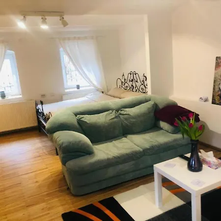 Studio Curcanilor 18 Graden & Parking Apartment *