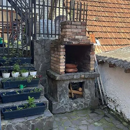 Studio Curcanilor 18 Graden & Parking Apartment Brașov