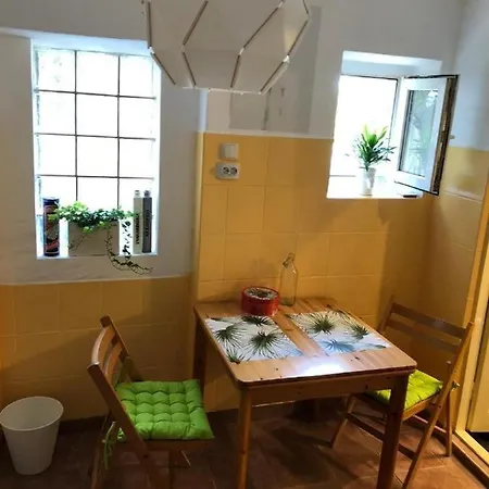 Studio Curcanilor 18 Graden & Parking Brașov