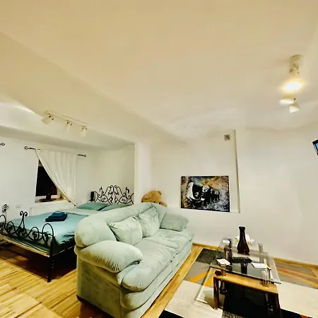 Studio Curcanilor 18 Graden & Parking Apartment *
